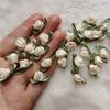 200pcs Mini Satin Ribbon Flower Bows Rose Wedding Sewing Crafts Appliques Polyester for Wedding Bride Gift Wrapping Decoration (Apricot) view 4