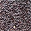 Organic Yellow Mustard Whole 5 LBS (16 Oz x 5) view 1