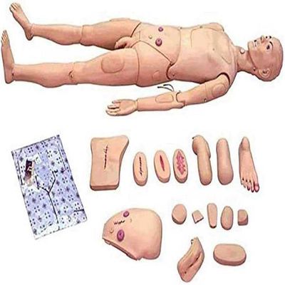 ZQHJ 170cm Life Size Patient Care Manikin Men and Women Interchangeable Training CPR Simulator for Medical Nursing Training Manikin