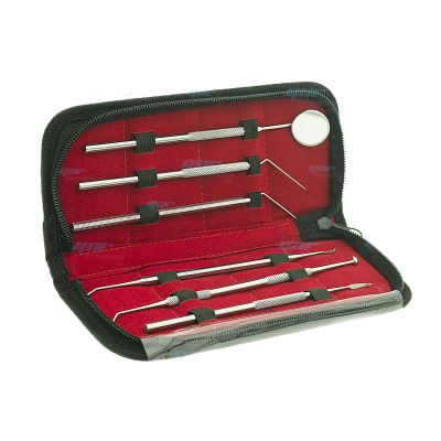 6PC Dental Tools Kit for Teeth Cleaning Plaque Removal, Tartar Remover for Teeth Stainless Steel