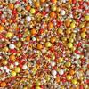 Sprinkle Pop Thanksgiving Sprinkle Mix| Red Orange Golden Yellow Brown Sprinkles with Chocolate Crispy Dragees| Autumn Fall Thanksgiving Sprinkles Made in USA for Decorating Cakes Cupcakes Cookie, 4oz view 1