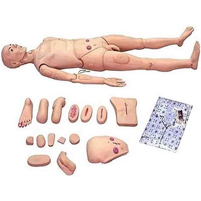 ZQHJ 170cm Life Size Patient Care Manikin Men and Women Interchangeable Training CPR Simulator for Medical Nursing Training Manikin