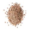 Food to Live - Whole Red Lentils, 2.5 Pounds  Dry Raw Lentils, Sproutable, Vegan, Kosher, Bulk. Quick-Cooking. Good Source of Dietary Fiber, and Protein. Perfect for Lentil Soup, Stews, Curry view 4