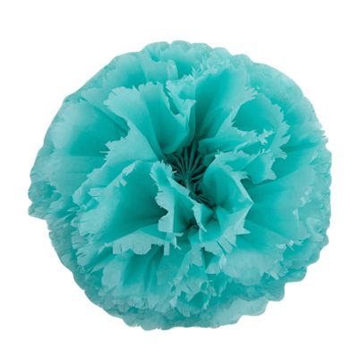 Aqua Blue Tissue Paper 15 Inch x 20 Inch - 480 Sheet Pack