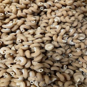 Sprouted Sourdough Corkscrew Pasta