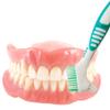 GXXMEI 4PCS Denture Brush Toothbrush Denture Toothbrush Brush Cleaning Brush for False Teeth Cleaning view 4