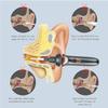5-in-1 Electric Ear Scoop Electric Children's Ear Scoop Safety Painless Earwax Remover Cordless Vacuum Ear Wax Cleaning Tool Painless Ear Cleaning Tool for Whole Family,Black view 3