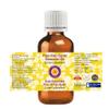 Deve Herbes Pure Palo Santo Essential Oil (Bursera graveolens) Steam Distilled (Pack of Three) 100ml X 3 (10 oz) view 2