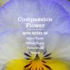 MRS. MEYER'S CLEAN DAY Liquid Dish Soap, Compassion Flower, 16 fl. oz - Pack of 3 view 3