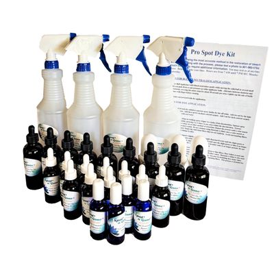 BLEACHSTAIN Pro Spot Dye Kit | Restores Carpet Color from discolorations on All Shades and Colors of Nylon Carpeting