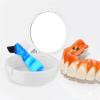 Healifty 1set Portable Box with Brush Compact and Leak Travel and Home Use Includes Professional Cleaning Brush for Full and Partial Dentures and Design view 4