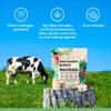Santa Cruz Paleo, Beef Isolate Protein Powder, Horchata, Rich in Collagen Peptides for Protein Shakes and Smoothies, Gluten Free, Keto, Paleo, Clean Grass Fed Protein, 1.1lbs (20g Protein Per Serving) view 3