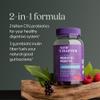 New Chapter Probiotic Gummies for Women and Men, All-Flora (1 Month Supply)  55% Less Sugar+, Formulated for Holistic Gut Health Support with Probiotics + Prebiotic Fiber + 100% Vegan + Non-GMO view 3