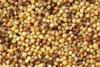 Sanniti Toasted Fregola Sarda FIne Semolina Pasta Fregula Tostata Fina, 17.6 oz view 4