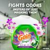Gain Flings Laundry Detergent Pacs, 60 Count, Moonlight Breeze Scent, with Odor Defense, concentrated laundry soap pacs view 4