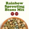 Food to Live Rainbow Sprouting Beans Mix, 1 Pound  Raw, High Germination Rate, Vegan view 4
