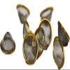 Steel Pipe Screen Steel Pipe Screen Filters (10 Pieces) conical Shape with Brass Ring Border (15mm) view 2