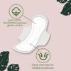 L. Ultra Thin Pads for Women, Regular Absorbency, 100% Pure Cotton Top Layer, Unscented Pads with Wings, 56 Count Total view 2