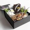 CECOBOX - Gift Boxes with Lids for Presents 13''x10.75''x5.5'' - Glossy, Collapsible Magnetic Closure Gift Box - Groomsmen & Bridesmaid Proposal Boxes, Wedding, PR, Birthdays, Holidays (Black) view 3