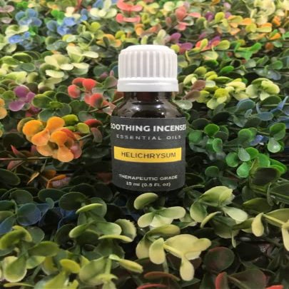 Helichrysum Essential Oils ~ Pure Natural Aromatherapy Massage Oil - Therapeutic Grade - 100% Natural Incense - Pure essential oil (15ml)