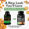 Boswellia Curcumin Ginger Extracts Supplement  Strong 95% Curcuminoids Natural Support Pills for Mobility & Flexibility  Extra Strength Boswelia with Turmeric Curcumin Organic Ginger Supplement view 3