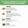 Boswellia Curcumin Ginger Extracts Supplement  Strong 95% Curcuminoids Natural Support Pills for Mobility & Flexibility  Extra Strength Boswelia with Turmeric Curcumin Organic Ginger Supplement view 4
