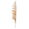 Vickerman 688175-60-72" Aspen Gold Uva Palm Spray 10/Bu (H2UVA725) Dried and Preserved Palms view 1