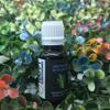 HAPPY SURROUNDINGS Rosemary Pure Therapeutic Grade Essential Oil - 10ml view 1