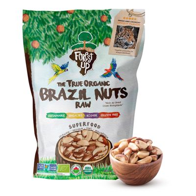 Snack The True Organic Brazil Nuts Medium Size 32 oz-2lbs Raw and Unsalted Kosher Healthy-Rich in Vegetable Protein Harvested in Amazon Rainforest Fresh, Vegan and Gluten Free Forest Up