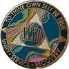 33 Year AA Medallion Elegant Marble Tahiti Teal Blue and Pink Gold Plated Chip view 1