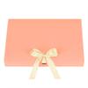 10PCS Gift Wrapping Bag for Scarves, Large Gift Envelopes Silk Scarf Shirt Present Boxes Birthday Wedding Christmas Gift Bags Party Favor Gift Packing Envelopes with Bow Ribbon view 1