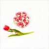 SweetGlob Jordan Almonds Party Colors Hard Candy (2 Pound, Pastel Pink & White (Baby Girl)) view 3