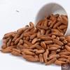 Afghan Chilgoza-Pine Nuts in Shells, Fresh Crops Pine Nuts in Shells - Fresh Crops Bulk Deal Afghan pine nuts 1000 GRAM view 3