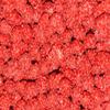 Red French Burnt Peanut Old Fashioned Hard Candy Coated Roasted Peanuts (5 Pound) view 2