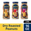 PLANTERS Peanuts Variety Pack, Dry Roasted Nuts, 16 oz Jars, (Pack of 3), Protein Snack Care Package view 4