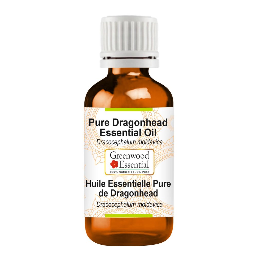 Greenwood Essential Pure Dragonhead Essential Oil (Dracocephalum moldavica) Steam Distilled 50ml (1.69 oz)