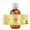 Greenwood Essential Pure Champaca Essential Oil (Magnolia champaca) Steam Distilled 15ml (0.50 oz) view 2