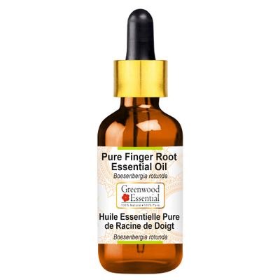 Greenwood Essential Pure Finger Root Essential Oil (Boesenbergia rotunda) with Glass Dropper Steam Distilled 50ml (1.69 oz)