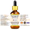 Greenwood Essential Pure Finger Root Essential Oil (Boesenbergia rotunda) with Glass Dropper Steam Distilled 50ml (1.69 oz) view 3