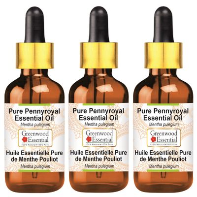 Greenwood Essential Pure Pennyroyal Essential Oil (Mentha pulegium) with Glass Dropper Steam Distilled (Pack of Three) 100ml X 3 (10 oz)
