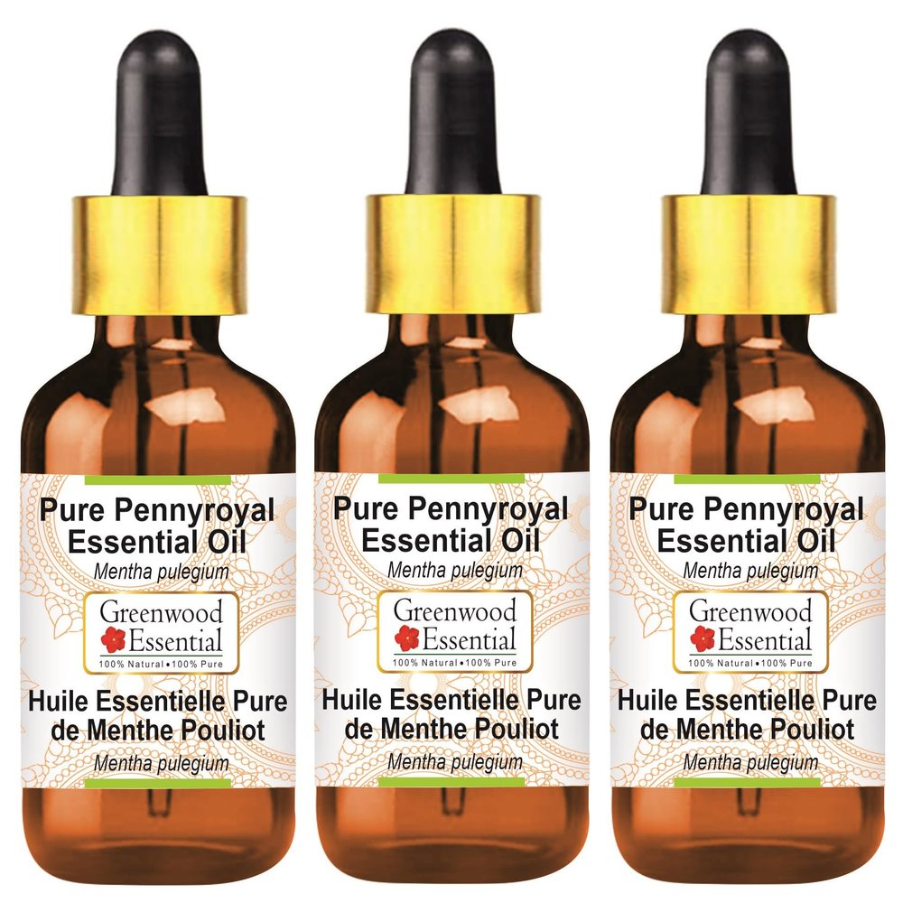 Greenwood Essential Pure Pennyroyal Essential Oil (Mentha pulegium) with Glass Dropper Steam Distilled (Pack of Three) 100ml X 3 (10 oz)