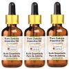 Greenwood Essential Pure Zadoria Essential Oil (Curcuma zedoaria) with Glass Dropper Steam Distilled (Pack of Three) 100ml X 3 (10 oz) view 1