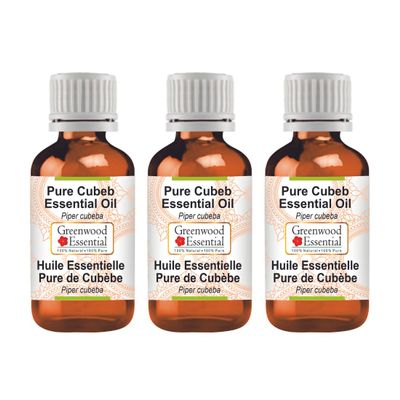 Greenwood Essential Pure Cubeb Essential Oil (Piper cubeba) Steam Distilled (Pack of Three) 100ml X 3 (10 oz)