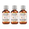 Greenwood Essential Pure Cubeb Essential Oil (Piper cubeba) Steam Distilled (Pack of Three) 100ml X 3 (10 oz) view 1