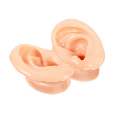 FOMIYES Ear Models for Earphones Display 2pcs Simulation Human for Training Props