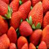 Dehydrated Strawberries - Deliciously Sweet and Nutritious, Healthy Snacks / Strawberry Chips/ kids snacks, Hikers Delight, sweet, nutritious, and easy to store. They are a good source of vitamin C, folate, and dietary fiber, making them a healthy sn view 3