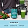 Ancient Nutrition Organic Supergreens Powder, Greens Flavor, 25 Servings + Multi Collagen Protein Powder, Strawberry Lemonade, 24 Servings view 4