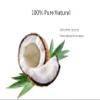 President Brand Dried Coconut Chip | Coconut Brittle | Healthy Snacks for Kids & Adults | Holiday Gifts  285g 10oz view 3