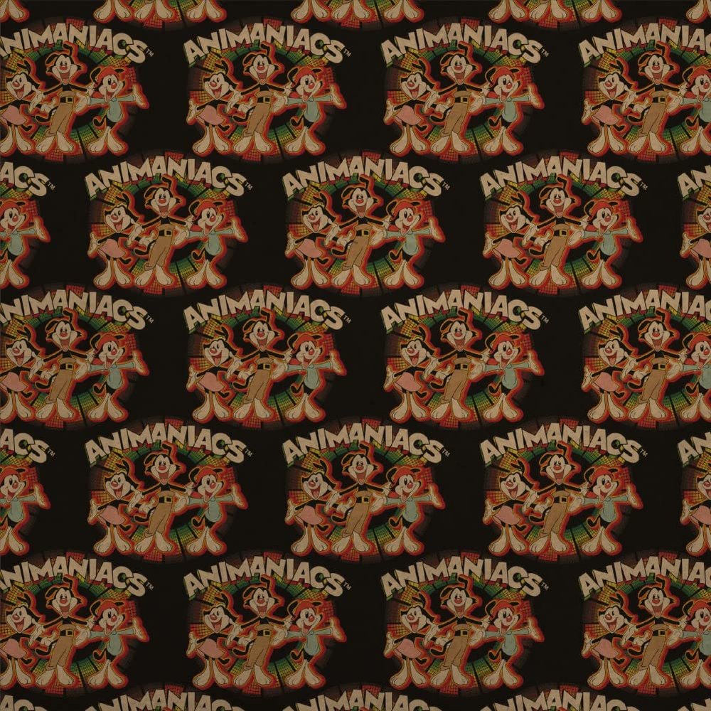GRAPHICS & MORE Animaniacs Retro Burst Premium Kraft Roll Gift Wrap Wrapping Paper