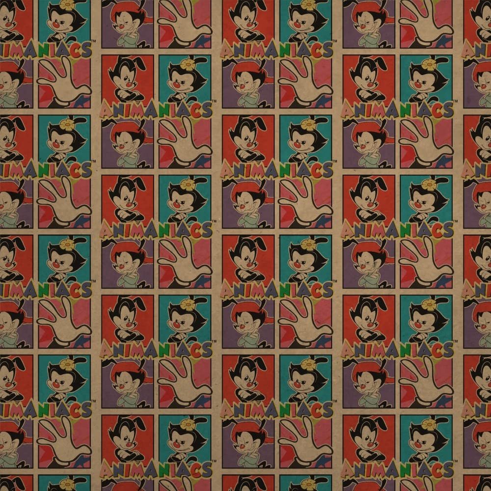 GRAPHICS & MORE Animaniacs Blocks Premium Kraft Roll Gift Wrap Wrapping Paper